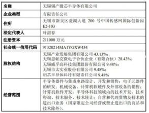锡产微芯喜获营业执照，法人代表引领技术服务与转让新篇章